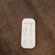 ヒメ日記 2025/12/08 10:40 投稿 みらい 石庭