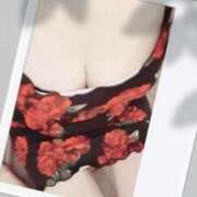 ヒメ日記 2025/12/09 08:35 投稿 みらい 石庭