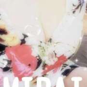 ヒメ日記 2025/12/09 10:00 投稿 みらい 石庭