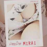 ヒメ日記 2025/12/09 11:10 投稿 みらい 石庭