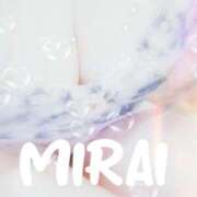 ヒメ日記 2025/12/09 14:50 投稿 みらい 石庭