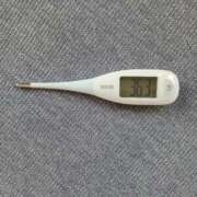 ヒメ日記 2025/12/15 08:50 投稿 みらい 石庭