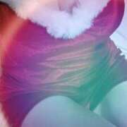 ヒメ日記 2025/12/15 09:50 投稿 みらい 石庭