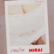 みらい メール会員様はこんなにお得です 石庭