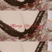 ヒメ日記 2025/12/17 11:31 投稿 みらい 石庭