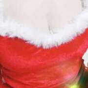 ヒメ日記 2025/12/21 09:45 投稿 みらい 石庭