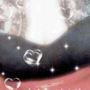 ヒメ日記 2025/12/22 11:30 投稿 みらい 石庭