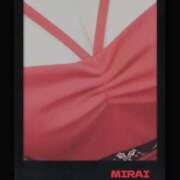 ヒメ日記 2025/12/24 11:00 投稿 みらい 石庭