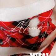 ヒメ日記 2025/12/24 11:30 投稿 みらい 石庭