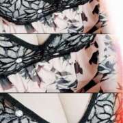 ヒメ日記 2025/12/29 11:00 投稿 みらい 石庭