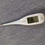 ヒメ日記 2025/12/31 09:00 投稿 みらい 石庭