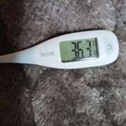 ヒメ日記 2026/01/11 08:50 投稿 みらい 石庭