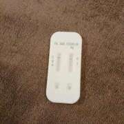 ヒメ日記 2026/01/14 10:30 投稿 みらい 石庭