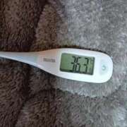 ヒメ日記 2026/01/18 09:00 投稿 みらい 石庭