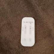 ヒメ日記 2026/01/20 10:30 投稿 みらい 石庭