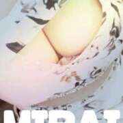 ヒメ日記 2026/01/27 11:30 投稿 みらい 石庭