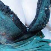 ヒメ日記 2026/02/02 11:40 投稿 みらい 石庭