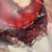 ヒメ日記 2026/02/03 10:00 投稿 みらい 石庭