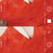 ヒメ日記 2026/02/08 11:10 投稿 みらい 石庭