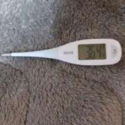 ヒメ日記 2026/02/09 08:50 投稿 みらい 石庭