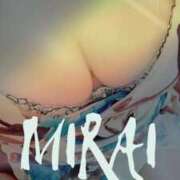 ヒメ日記 2026/02/09 11:35 投稿 みらい 石庭