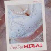 ヒメ日記 2026/02/09 12:20 投稿 みらい 石庭