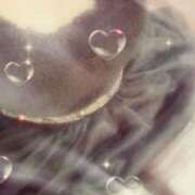 ヒメ日記 2026/02/15 08:40 投稿 みらい 石庭