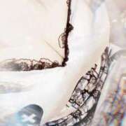 ヒメ日記 2026/02/18 08:34 投稿 みらい 石庭