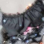 ヒメ日記 2026/02/22 08:20 投稿 みらい 石庭