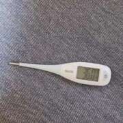 ヒメ日記 2026/02/24 08:50 投稿 みらい 石庭