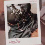 ヒメ日記 2026/02/25 11:15 投稿 みらい 石庭