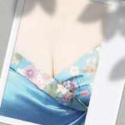 ヒメ日記 2026/03/01 08:20 投稿 みらい 石庭