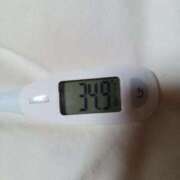 ヒメ日記 2026/03/02 08:50 投稿 みらい 石庭