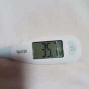 ヒメ日記 2026/03/04 09:05 投稿 みらい 石庭