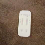 ヒメ日記 2026/03/04 10:40 投稿 みらい 石庭