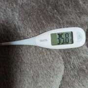 ヒメ日記 2026/03/31 08:50 投稿 みらい 石庭