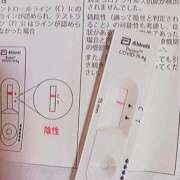 ヒメ日記 2026/04/06 10:30 投稿 みらい 石庭