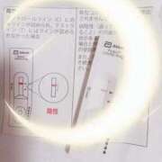 ヒメ日記 2026/04/07 10:40 投稿 みらい 石庭