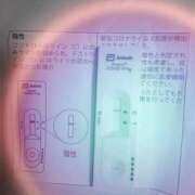 ヒメ日記 2026/04/08 10:46 投稿 みらい 石庭