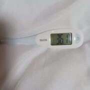 ヒメ日記 2026/04/12 09:01 投稿 みらい 石庭