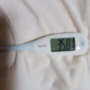 ヒメ日記 2026/04/13 08:50 投稿 みらい 石庭