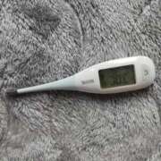 ヒメ日記 2026/04/15 09:05 投稿 みらい 石庭