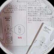 ヒメ日記 2026/04/20 10:30 投稿 みらい 石庭