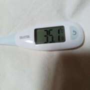 ヒメ日記 2026/04/21 09:00 投稿 みらい 石庭