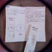 ヒメ日記 2026/04/26 10:30 投稿 みらい 石庭