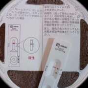 ヒメ日記 2026/04/29 10:37 投稿 みらい 石庭