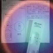 ヒメ日記 2026/06/30 10:31 投稿 みらい 石庭
