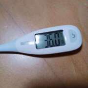 ヒメ日記 2026/09/16 08:50 投稿 みらい 石庭