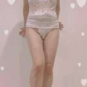 ヒメ日記 2024/12/08 21:51 投稿 まこ 石庭