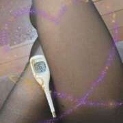 ヒメ日記 2024/12/12 11:07 投稿 まこ 石庭